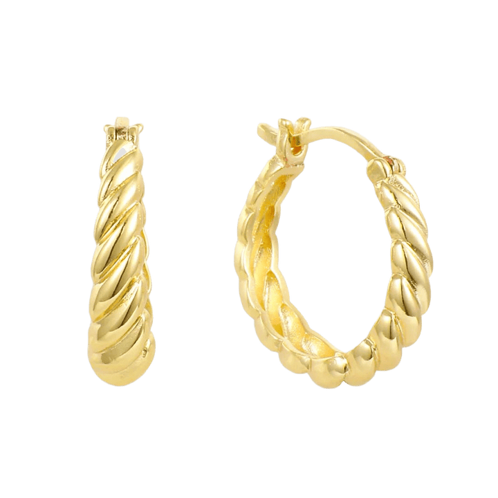 Twist Style Twisted Earrings