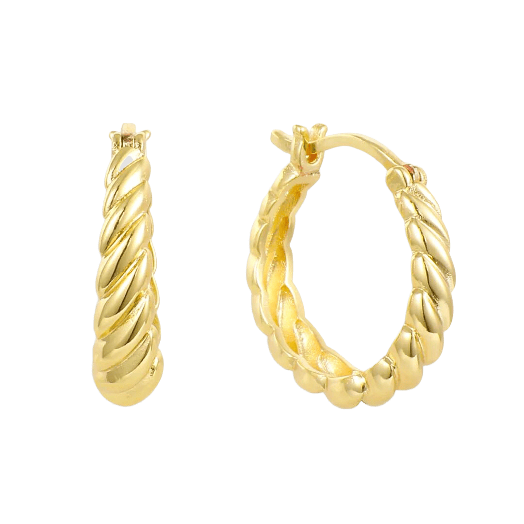 Twist Style Hoop Earrings