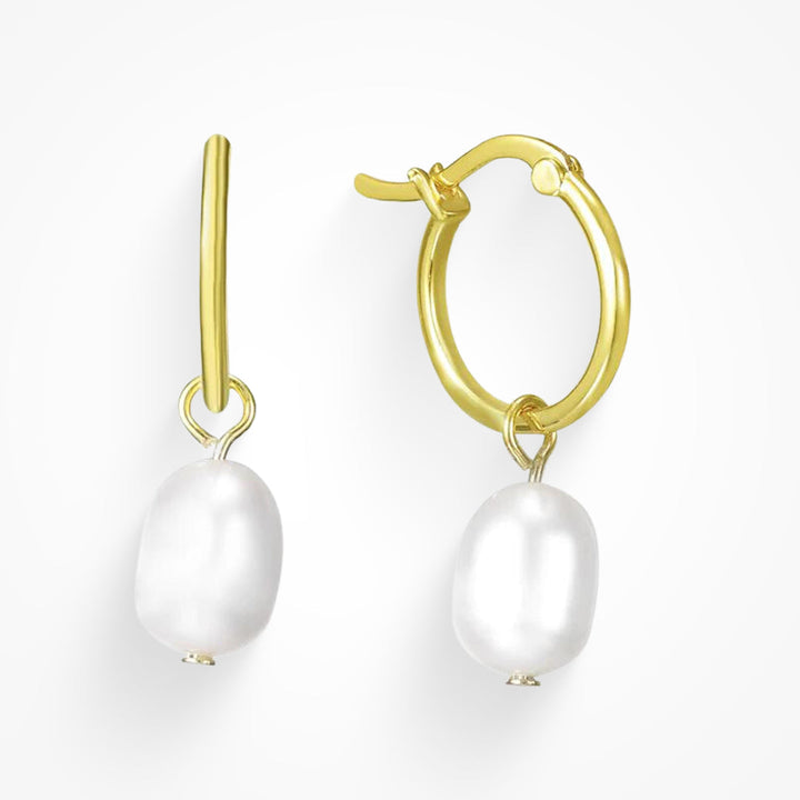 Sparkling Hanging Earrings